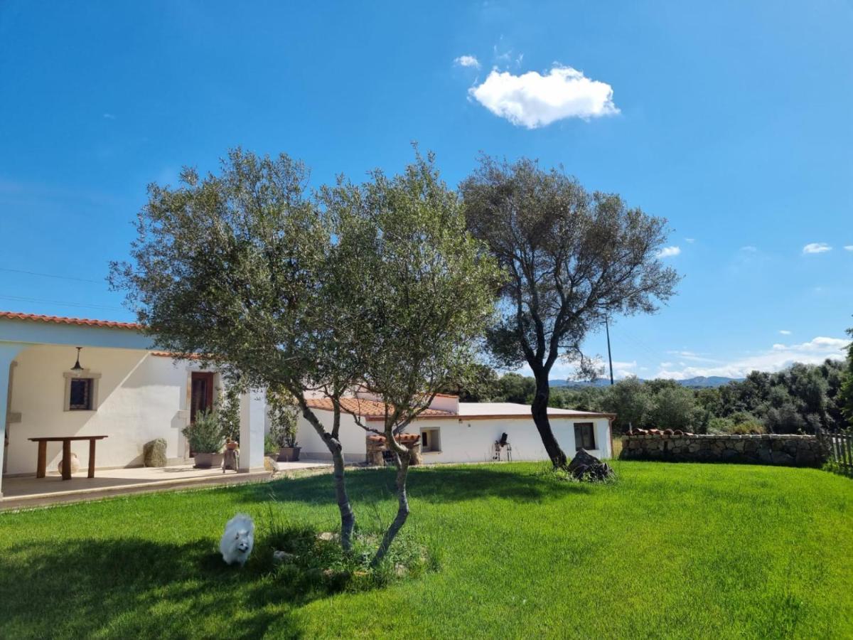 Lu Antu Alloggi Agrituristici Arzachena Dış mekan fotoğraf