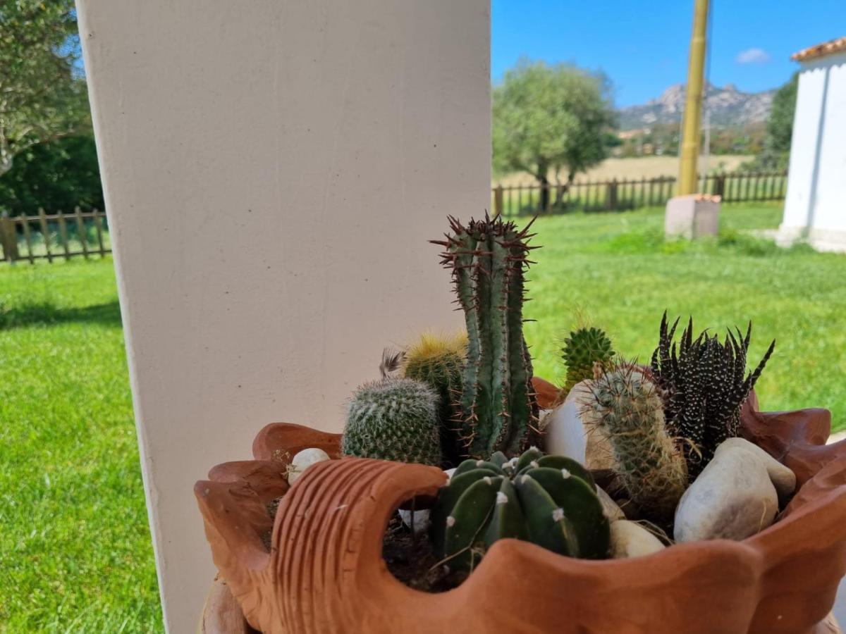 Lu Antu Alloggi Agrituristici Arzachena Dış mekan fotoğraf